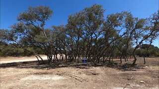 1 Acre Lot for Sale, Belle Oaks Community, Bulverde Tx. As of 9 Mar 2022.