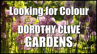 Looking for Colour - The Dorothy Clive Gardens