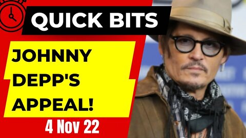 Summary of Johnny Depp's Appeal