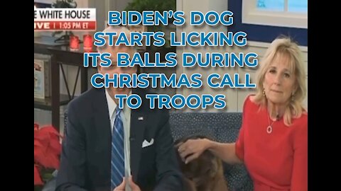 Biden’s Dog Licks Its Balls During Christmas Call To Troops