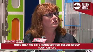 More than 200 cats removed from rescue group| News conference
