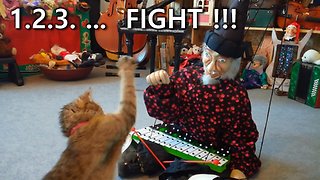 The Cat Is Fighting A Theater Marionette