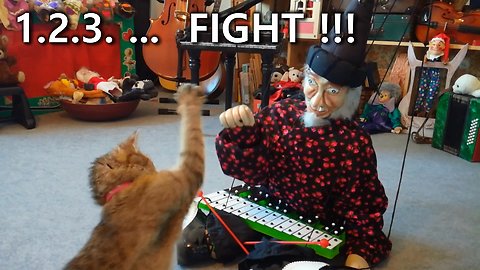 The Cat Is Fighting A Theater Marionette