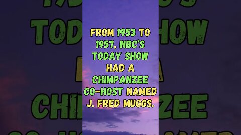 📺Interesting Facts! 👀 #shorts #shortsfact #facts #generalfact #interestingfacts #chimpanzee #nbc