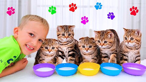 Children playing with kittens