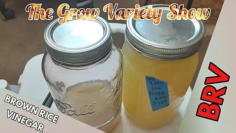 Let's Make Brown Rice Vinegar- BRV (The Grow Variety Show EP.212)