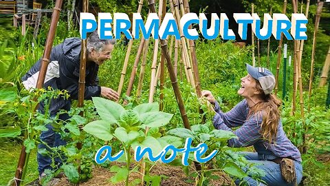 PERMACULTURE a note