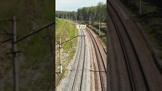 World's Longest Rail Line: Uncovering the Trans-Siberian Railway