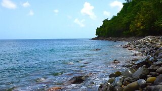 Listen to the calming waves sounds of the Caribbean Sea on a secluded beach - Nature ASMR