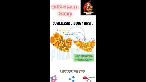 🔥Some basic biology first🔥#shorts🔥#viralshorts🔥#fitnessshorts🔥#wildfitnessgroup🔥