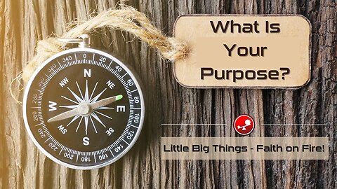 WHAT IS MY PURPOSE - God Can Help You Discover Your Why - Daily Devotional - Little Big Things