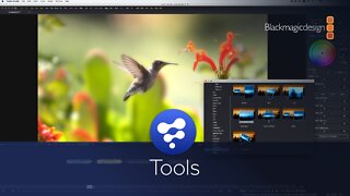 Fusion 8 Training: 4. Tools