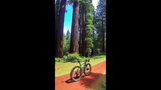 Iron Ore Heritage Gravel Ride ( Poseidon Redwood )