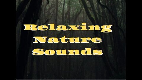 8 Minutes of soothing music for sleep also suitable for your Baby ,tested !!