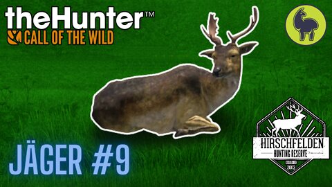 Jäger #9 Hirschfelden | theHunter: Call of the Wild (PS5 4K)
