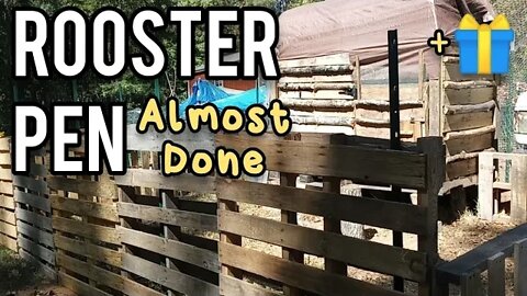 Rooster Pen Almost Done + Prezzie! - Ann's Tiny Life and Homestead