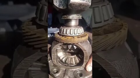 GearBox Differential | Satisfying relaxing