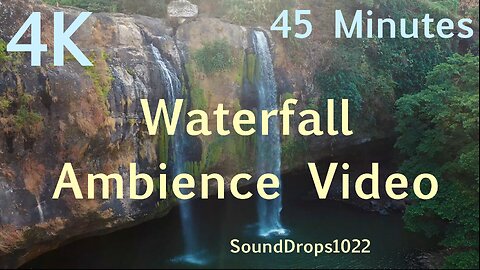 Relaxation | 45-Minute Nature Ambience