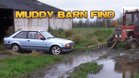 Ford Escort Mk3 1983 - Barn Find