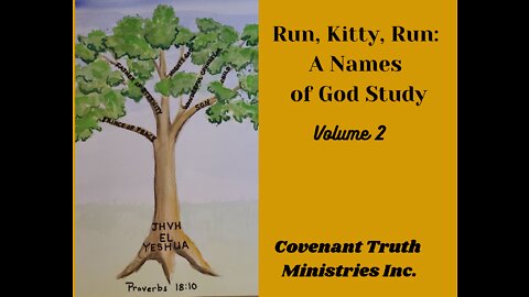 Run Kitty Run - Volume 2 - Lesson 11 - YHVH Rohi The Lord Our Shepherd