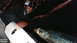 Personal Best Tarpon! Night Fishing for Monsters!