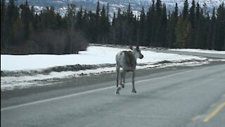 Rigolo : quand on joue avec la nature (ou qu'elle joue avec nous!)