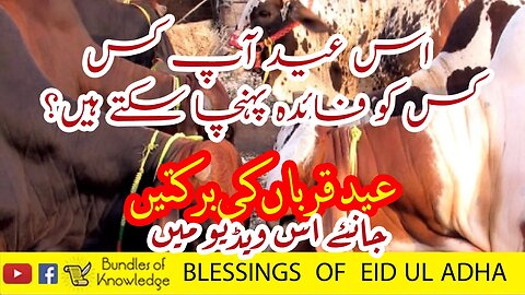 EId ul Adha Blessings - Eid ul Adha ki Barkatain - Bundles Of Knowledge