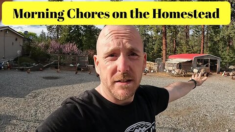Morning Chores on the Homestead and a Greenhouse Update.