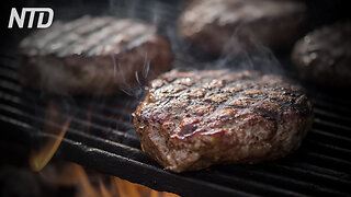 Usa, il governo federale approva la vendita di carne sintetica. Europa, l’Italia la vieta