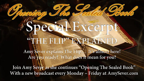 12/08 SPECIAL EXCERPT - "THE FLIP" EXPLAINED