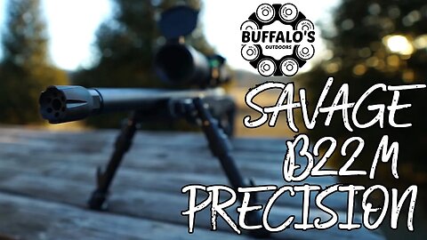 SAVAGE B22 MAGNUM PRECISION ~ PRECISELY WHAT I NEEDED