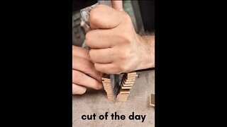 Cut of the day