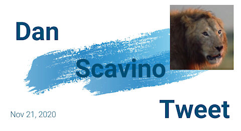 Dan Scavino tweet - The Lion