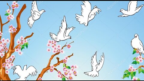 Noticia actual: ¡No aceptemos algún conflicto!: ¡Declaremos ya la paz mundial de cada vida!