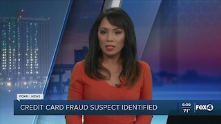 Credit card fraud suspect identified