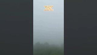 Foggy Morning @palaceinthesky #viralreels #viralvideo #mayora #shortvideo #tagaytay