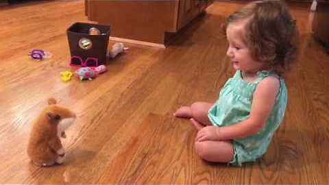 Little Girl Has A Tearful Reaction To A Repeating Toy Hamster
