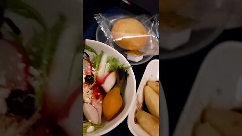 What I Ate on United Premium Economy Flight from DCA to FRA.