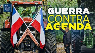 Crisis de alimentos elaborados: cerrarán 3.000 granjas en los Países Bajos