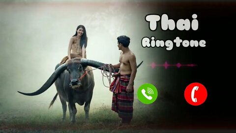 Thai Ringtone 2022 | Thailand music Ringtone 💕🦋 | New Ringtone mp3, Yellow Ringtone