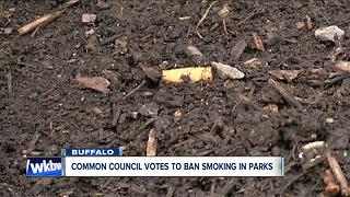 Buffalo Common Council votes to ban smoking in city parks