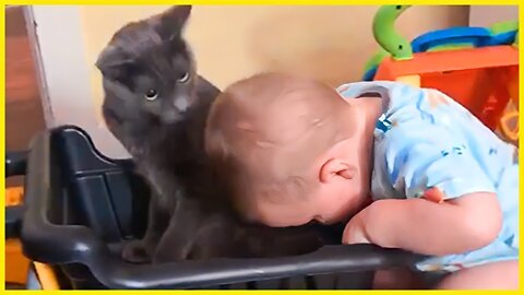 Cute Baby Playing With Cat Compilation || 5-Minute Fails