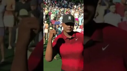 Standard Hole-In-One For Tiger