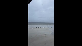 Livestream Clip - Hurricane Ian & Davystingray Crash My Livestream Under Fort Myers Beach Pier!