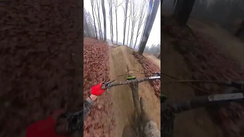 🇩🇪 Greenhill Bikepark is SICK!Think Bold #mountainbike #insta360x3