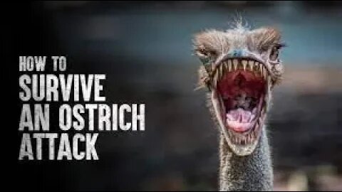 HOW TO SURVIVE AN OSTRICH ATTACK | Tech and Science |