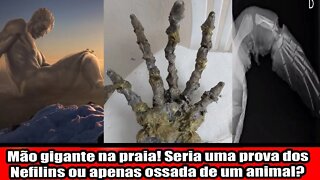 MÃO GIGANTE NA PRAIA!!! SERIA UMA PROVA DOS NEFILINS OU APENAS OSSADA DE UM ANIMAL!!!