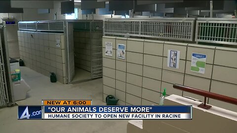 New animal shelter in Racine County nears completion, to offer better environment and care