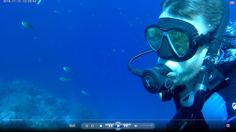 Antilla Wreck Aruba Dive