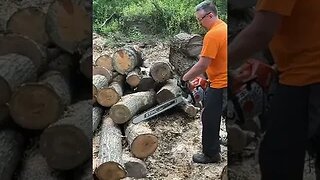 Chainsaw Action Cutting Logs for Firewood #shorts #chainsaw #firewood